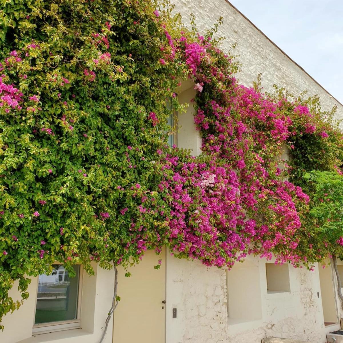 Apartamento Convento Das Bernadas Tavira Kültér fotó